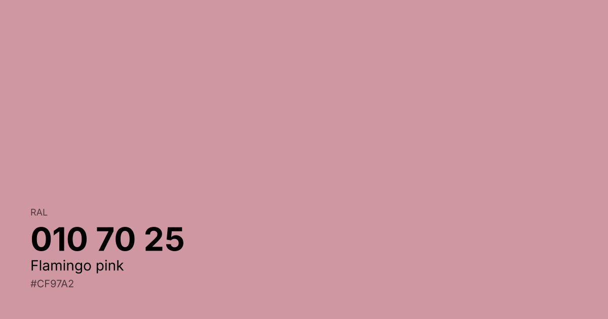 RAL 010 70 25 Flamingo pink color swatch - #cf97a2 hex code for design, paint, and coating reference