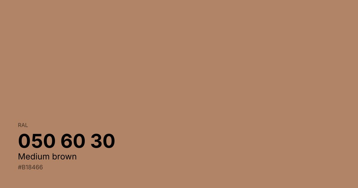 RAL 050 60 30 Medium brown color swatch - #b18466 hex code for design, paint, and coating reference
