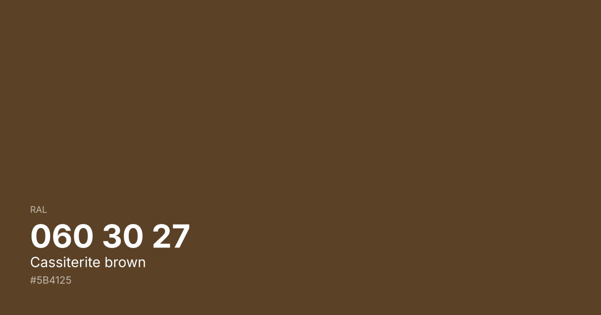 RAL 060 30 27 Cassiterite brown color swatch - #5b4125 hex code for design, paint, and coating reference