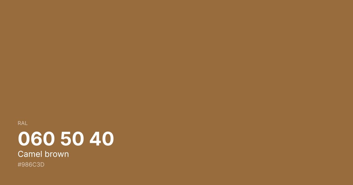 RAL 060 50 40 Camel brown color swatch - #986c3d hex code for design, paint, and coating reference