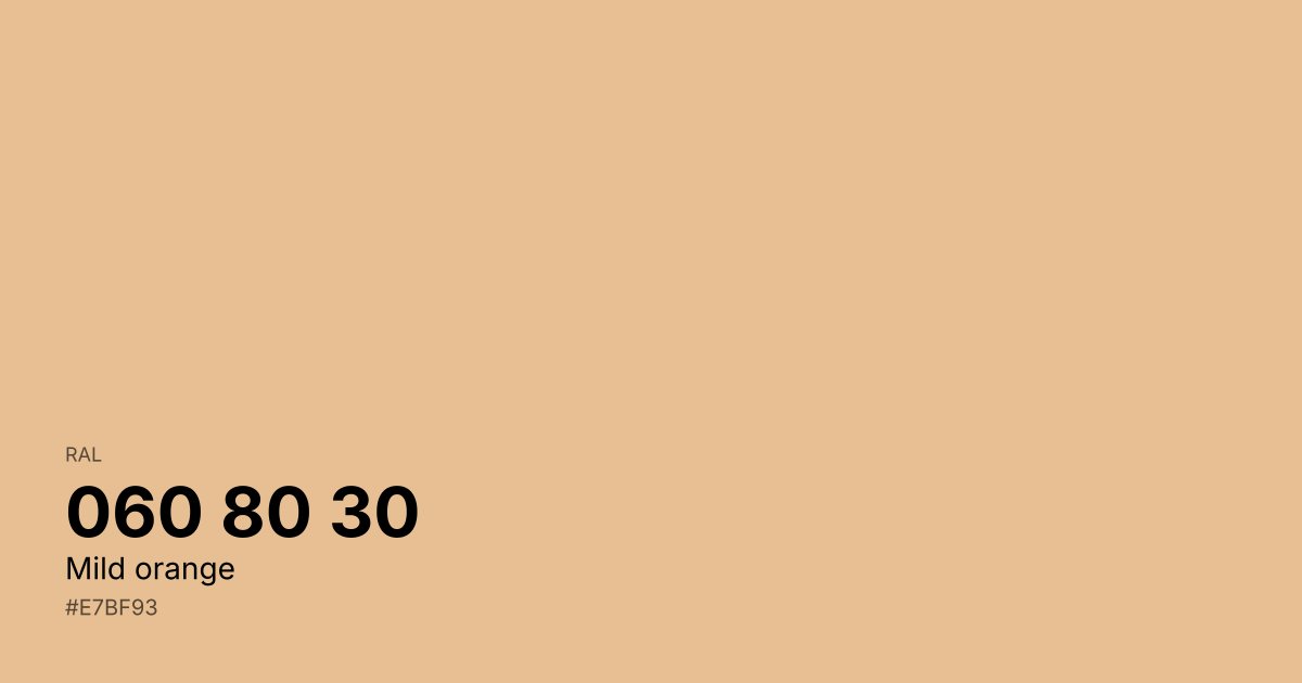 RAL 060 80 30 Mild orange color swatch - #e7bf93 hex code for design, paint, and coating reference