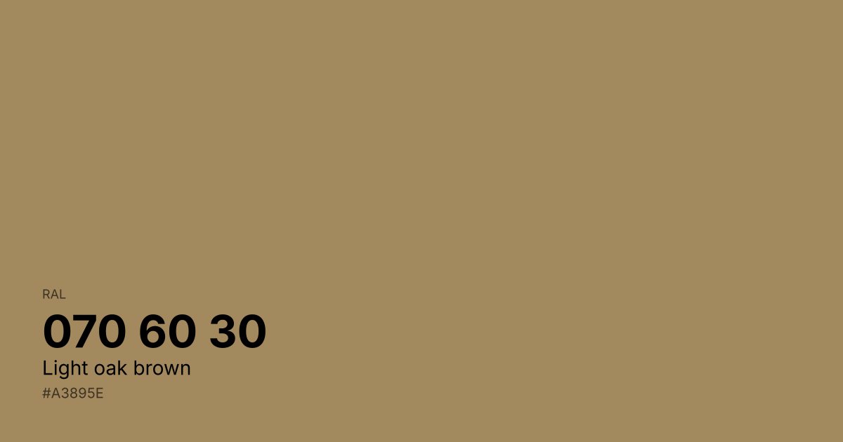 RAL 070 60 30 Light oak brown color swatch - #a3895e hex code for design, paint, and coating reference