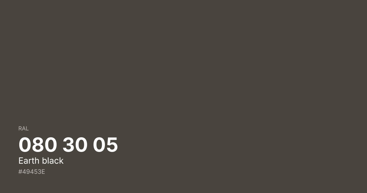 RAL 080 30 05 Earth black color swatch - #49453e hex code for design, paint, and coating reference