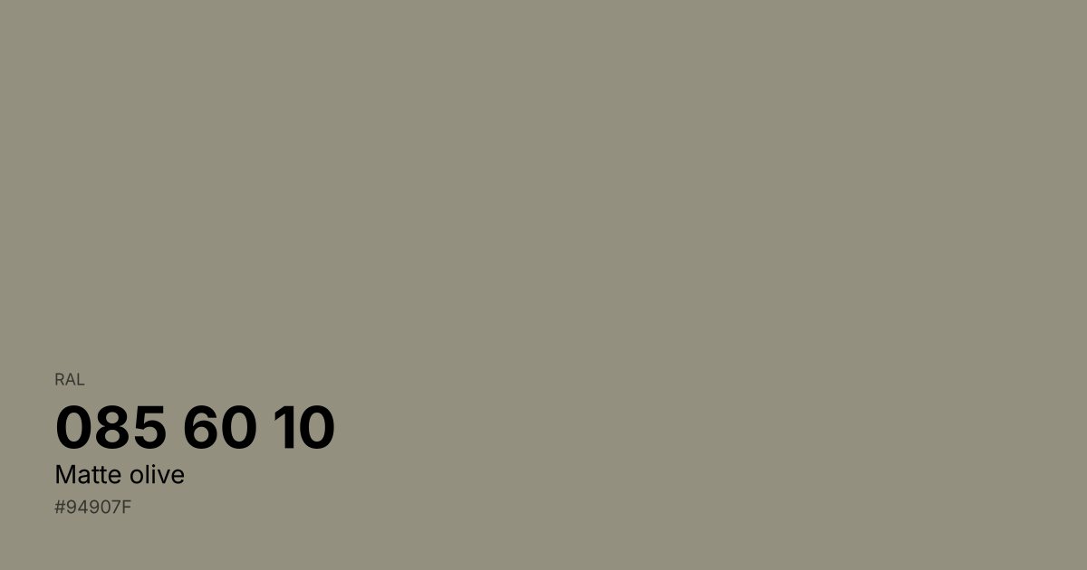 RAL 085 60 10 Matte olive color swatch - #94907f hex code for design, paint, and coating reference