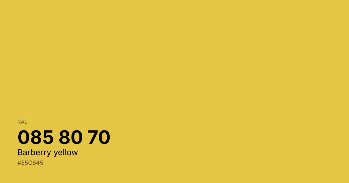 RAL 085 80 70 Barberry yellow color swatch - #e5c645 hex code for design, paint, and coating reference