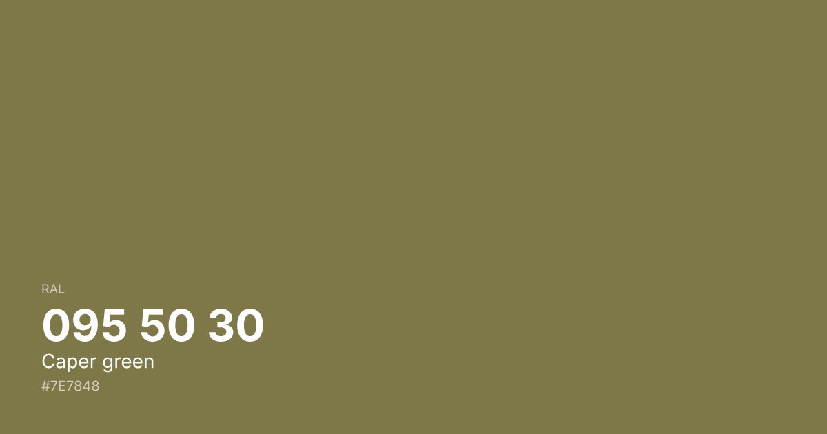 RAL 095 50 30 Caper green color swatch - #7e7848 hex code for design, paint, and coating reference