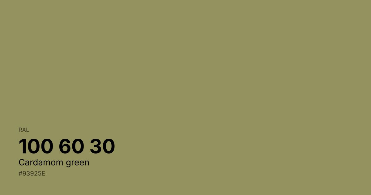 RAL 100 60 30 Cardamom green color swatch - #93925e hex code for design, paint, and coating reference