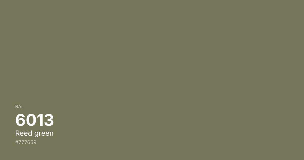 RAL 6013 Reed green color swatch - #777659 hex code for design, paint, and coating reference