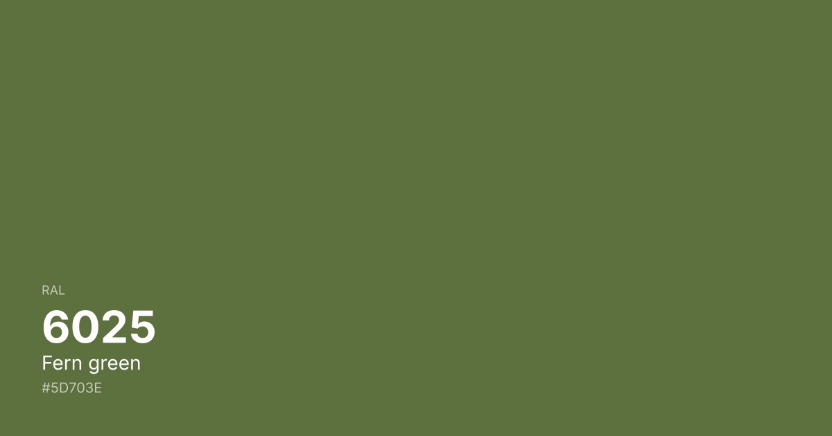 RAL 6025 Fern green color swatch - #5d703e hex code for design, paint, and coating reference