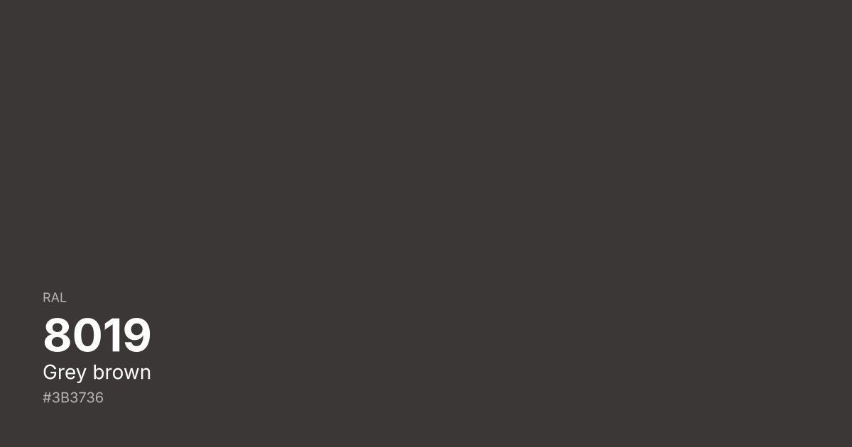 RAL 8019 Grey brown color swatch - #3b3736 hex code for design, paint, and coating reference